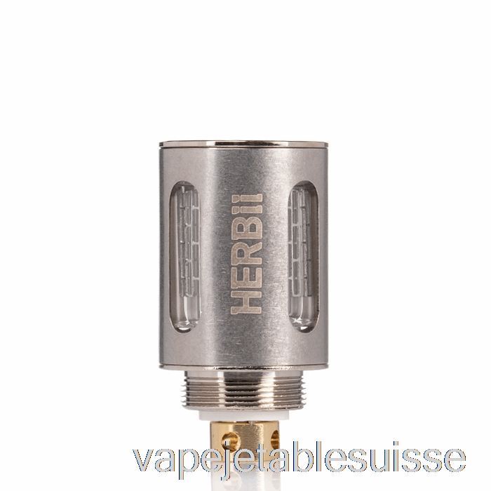 Vape Suisse Bobines De Remplacement Dazzleaf Herbii En Acier Inoxydable
